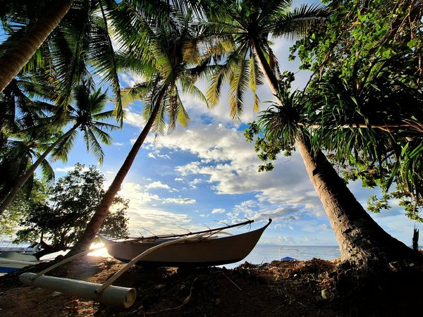 Secrets Essentiels pour Réduire le Coût de Vos Billets d'Avion avec Skyscanner