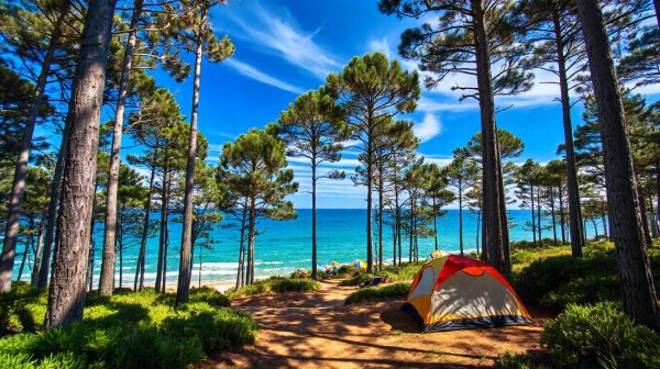 Top 5 raisons de choisir le camping Vensac pour vos vacances